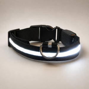 Black LED safety dog collar for night walks